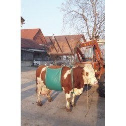 Podnośnik temblakowy dla bydła, 1000 kg.  - 1