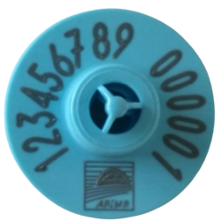 Kolczyk Urzędowy Allflex niebieski dla loch Kowet - 2