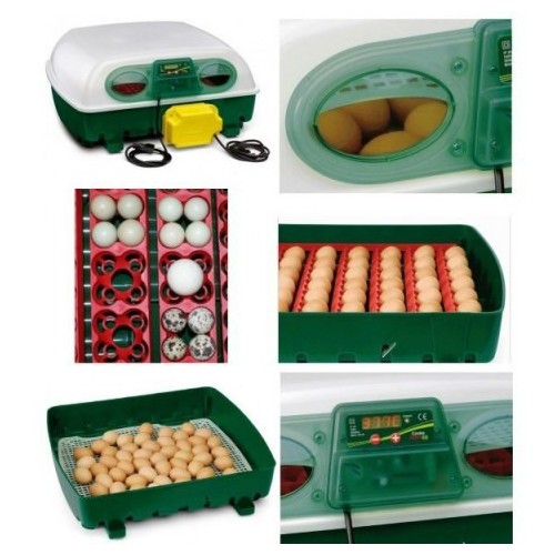 Inkubator Covina Super półautomatyczny 12 jaj  - 4