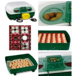 Inkubator Covina Super półautomatyczny 12 jaj  - 4