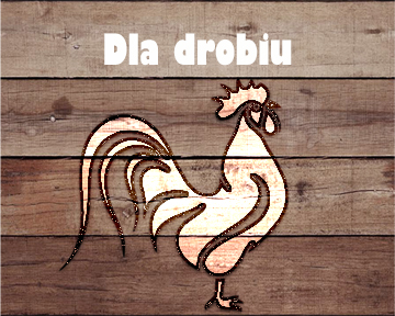 znakowani ei identyfikacja drobiu