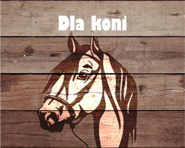 hoidowala koni