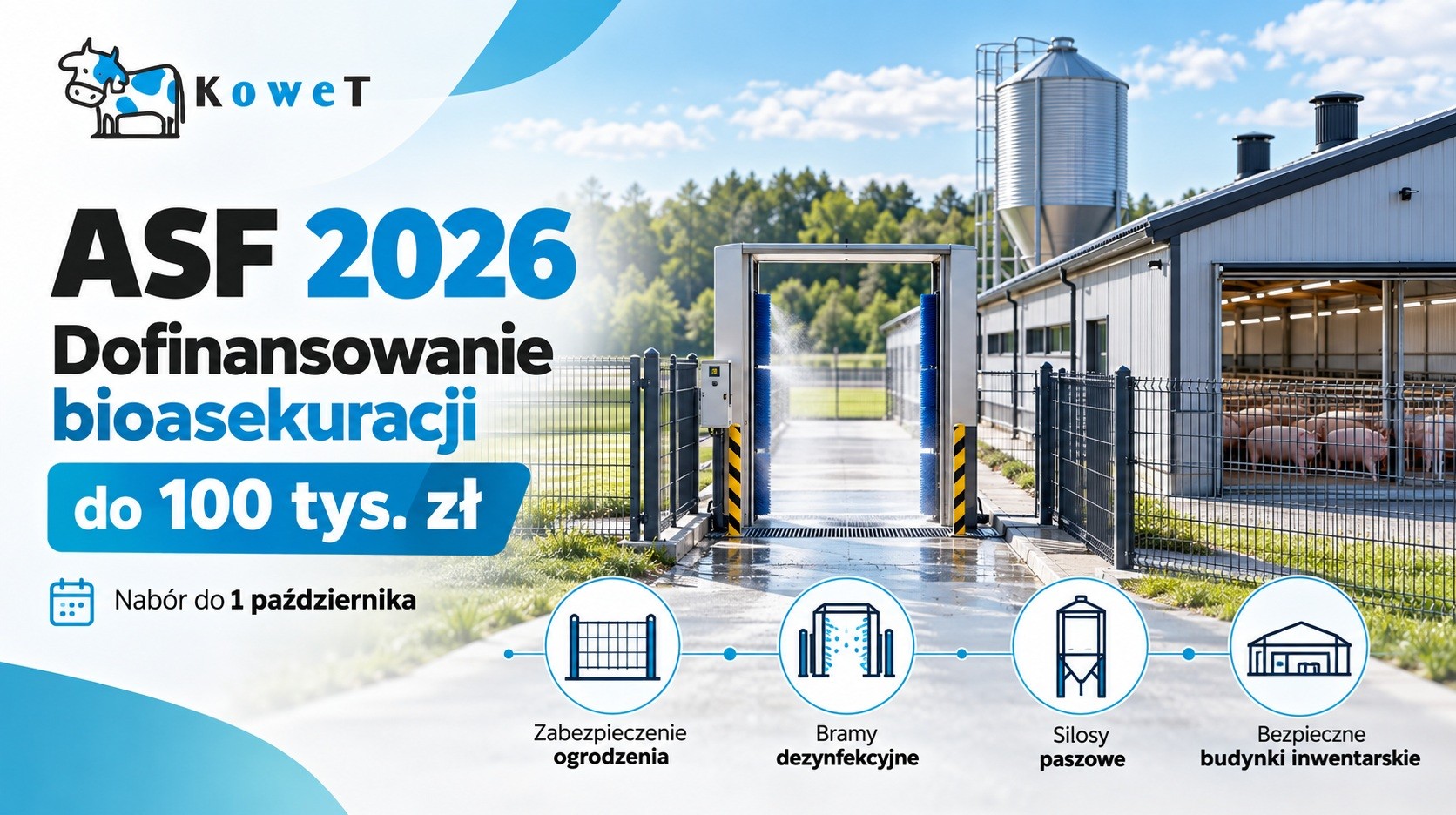 Dofinansowanie ASF 2026 – do 100 tys. zł na bioasekurację. Nabór I.10.3 tylko do 1 października